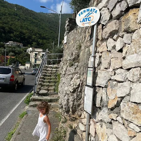 Alba Marina 费扎诺