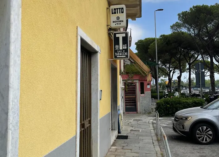 Apartment Alba Marina